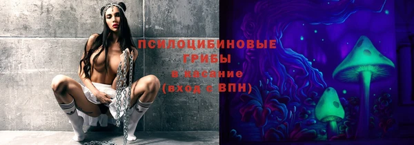 ГАЛЛЮЦИНОГЕННЫЕ ГРИБЫ Белокуриха