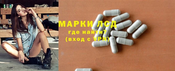 ГАЛЛЮЦИНОГЕННЫЕ ГРИБЫ Белокуриха