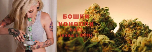 ГАЛЛЮЦИНОГЕННЫЕ ГРИБЫ Белокуриха