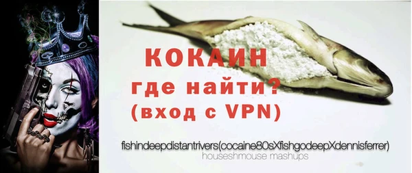 ГАЛЛЮЦИНОГЕННЫЕ ГРИБЫ Белокуриха