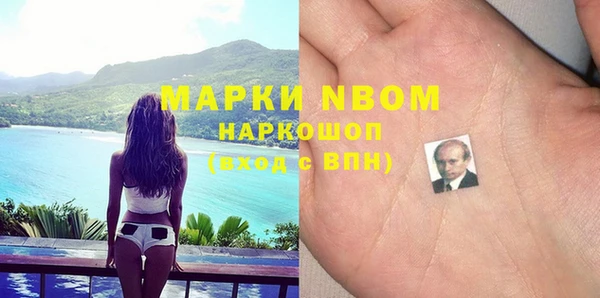 ГАЛЛЮЦИНОГЕННЫЕ ГРИБЫ Белокуриха