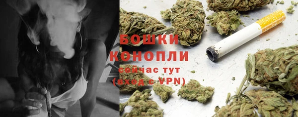 ГАЛЛЮЦИНОГЕННЫЕ ГРИБЫ Белокуриха