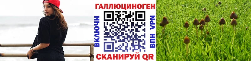Псилоцибиновые грибы ЛСД  Железноводск 