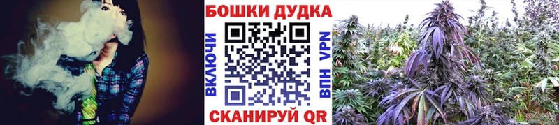 Бошки Шишки гибрид  Железноводск 